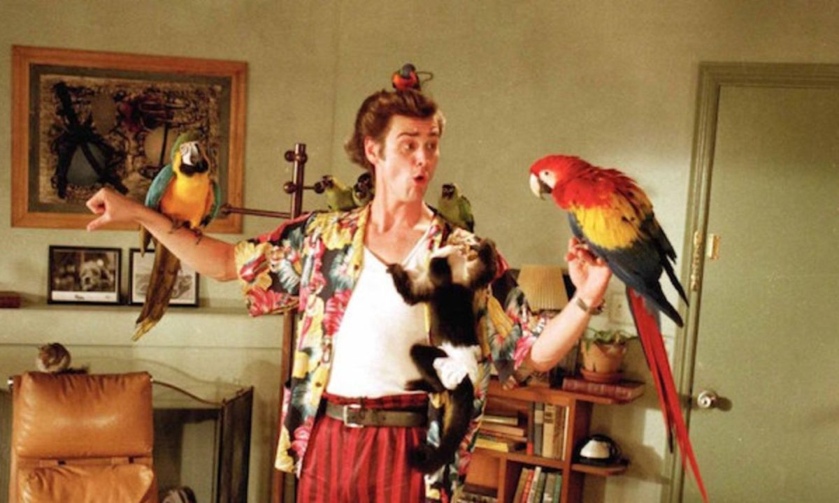 Ace Ventura: Pet Detective