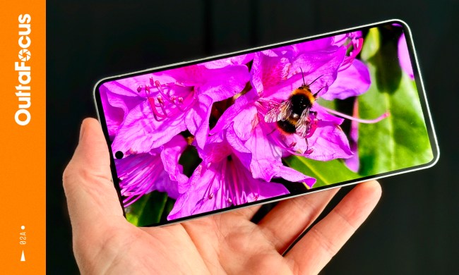 OuttaFocus: I Underestimated The Galaxy S25 Edges Camera
